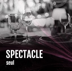 Spectacle seul Cabaret Diner spectacle Paris
